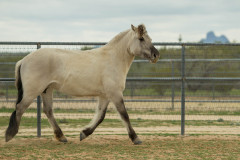 DSC1752