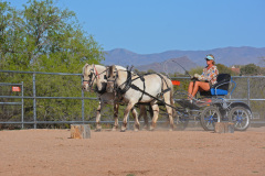 DSC_0406_edited-1