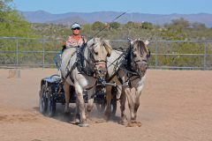 DSC_0410_edited-1