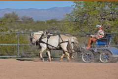 DSC_0419_edited-4