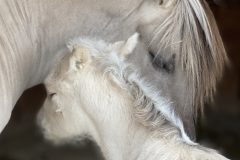 IMG_1807
