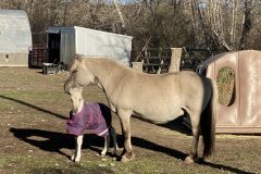IMG_1827