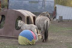IMG_1878