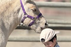 IMG_0629 IMG_0629