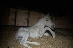 IMG_8043 IMG_8043
