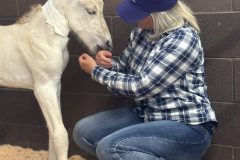 IMG_8148-2 IMG_8148-2