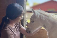 IMG_8207-2 IMG_8207-2