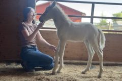 IMG_8210-2 IMG_8210-2