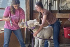 IMG_8214-2 IMG_8214-2