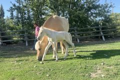 IMG_8222-2 IMG_8222-2