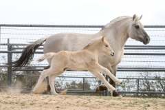 att.-A8n7wP5gGmeasON3qAl7EUryvHUTidzVHGBvL9WiVs