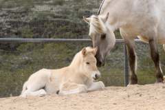 att.5pVnAZ1M6LIbP6_Wkx5VKB9TTC4KINRBNgiX27mu0lc