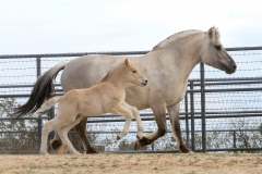 att.CgEFB-2vkTctWaUkEfL3SEDvGQupso5F9Lhi7XOXW-o