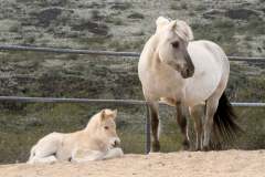 att.Dv86rD24uh2wfXa0gkU5aLutduP2YTA-HWJoXlhCSdI