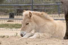 att.Y7MBMfKxpaFo4TPMw_ovZxWBs28qWi_SsmkPeFqh47Y