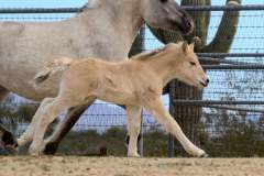 att.ZxBBskbpr-vSfDxYIvktXx4bzNex-7E6uVdcwFm6HVk