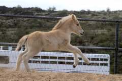 att.ZySkqnQ_1e5hXqWGQuWg3PTxjLWUa9fTuSu5pV0G3nA