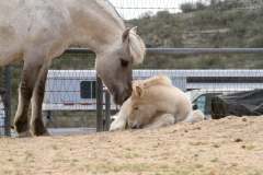 att.aFnhkyg6hjiHl8m6gEQ2fOXO1NdpE-oRilrocvGAKRA