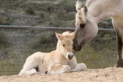 att.fUYkDc-lqIJ9G7ecMnRWsJeidf2YUczwwqnogkn2f0E