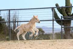 att.h9f848iO4tk8stD1_6CVGu4YP9R8i9sEYDfVJIwv6XI