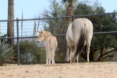 att.uwitx4qmnm2dKKhdymaZ1_bmHkXI5d3dESpuBcTEsfc