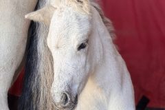IMG_5444