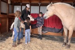 IMG_5471-copy