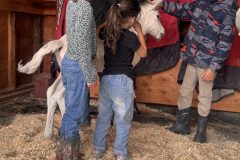 IMG_5472-copy