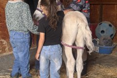 IMG_5477-copy