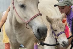 IMG_3049