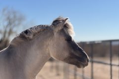 IMG_5735