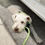 IMG_2088