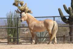 att.S70lUZ5KMM4LWCkq2Gs8drgxwZjSbd4apv49lj5LPME