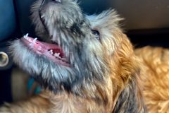 1_9AFA65AD-E542-48C8-B88A-10468ECEC3DC