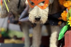 IMG_3785