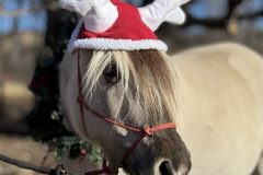 IMG_4943