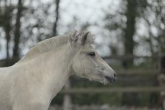 IMG_7409