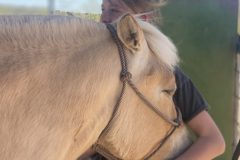 IMG_1639