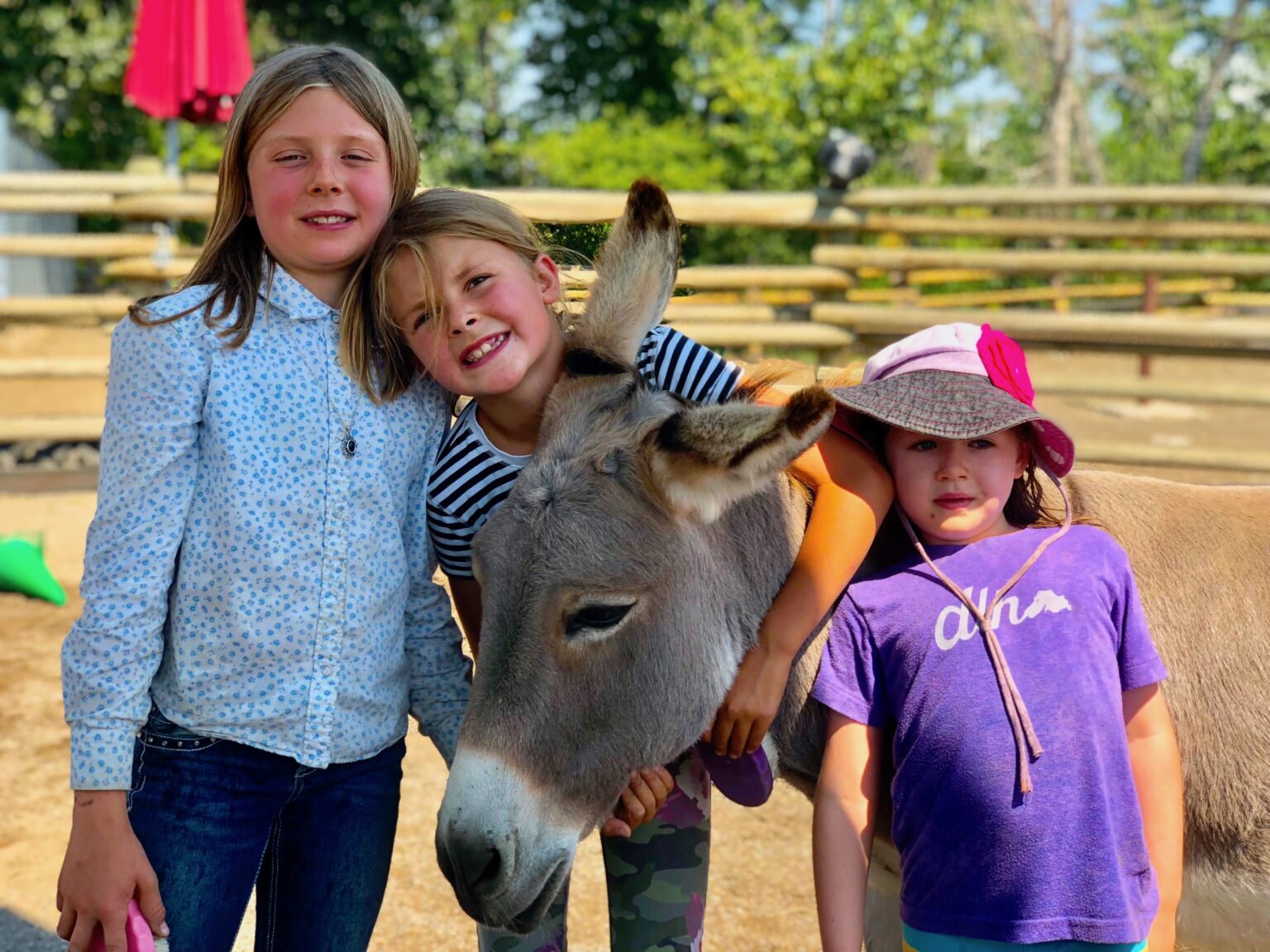 Sunnyside Farms Fan Club » Sunnyside Farms